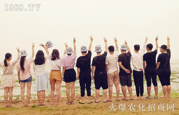 �������Σ��ж���˾