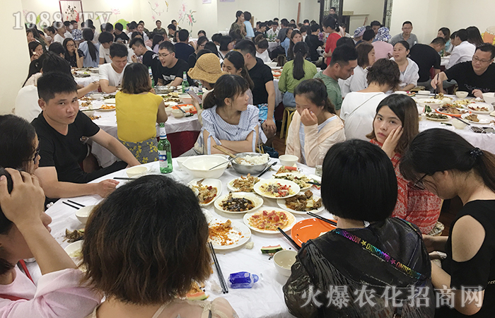 海水蕩漾,我心飛揚(yáng)