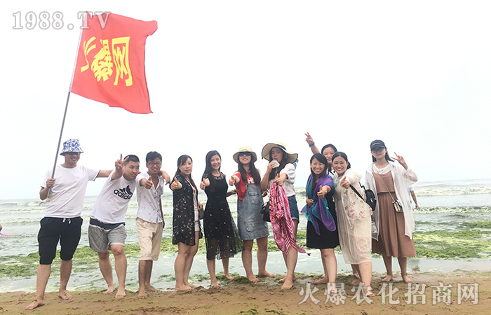 走近大海,心之飛揚(yáng)