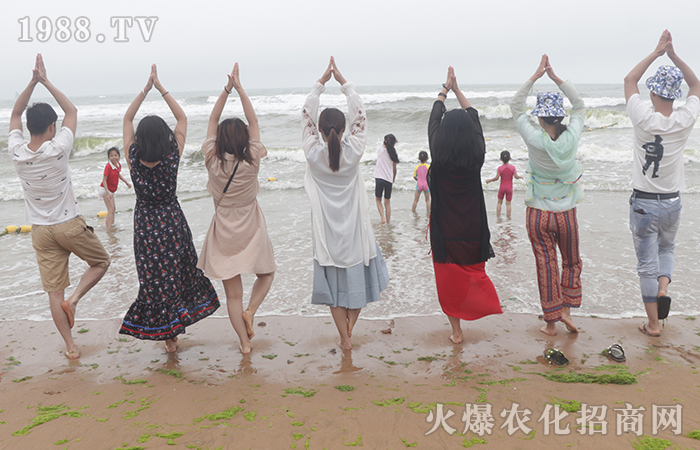 �L(f��ng)ƽ���o�ı�������(sh��)�t������ӿ