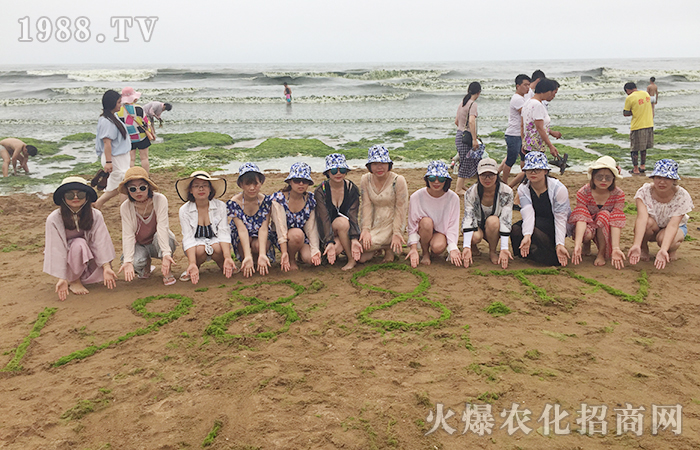 盛夏時節(jié),青島之旅,感受海濱城市魅力!