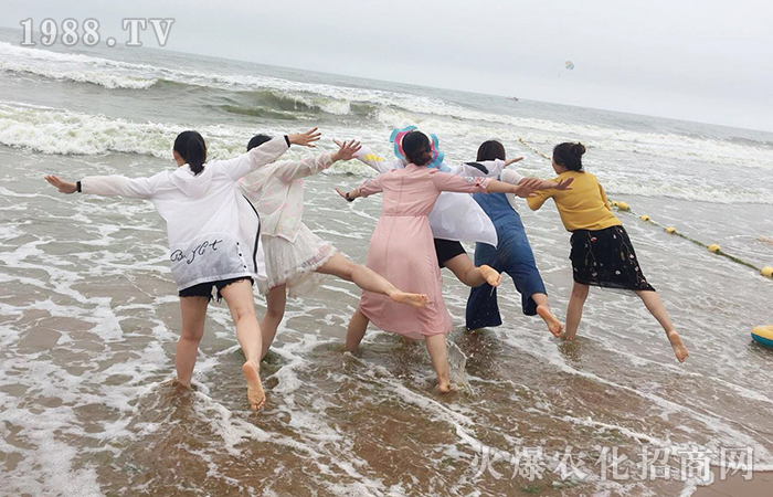 紅瓦綠樹、碧海藍天 - 青島