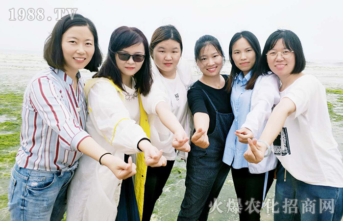 紅瓦綠樹、碧海藍天 - 青島