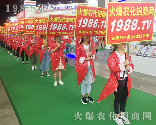 ���r(n��ng)���W(w��ng)�F(tu��n)�Y(ji��)һ�y�ֲ�������2018�����r(n��ng)�Y���[��(hu��)��