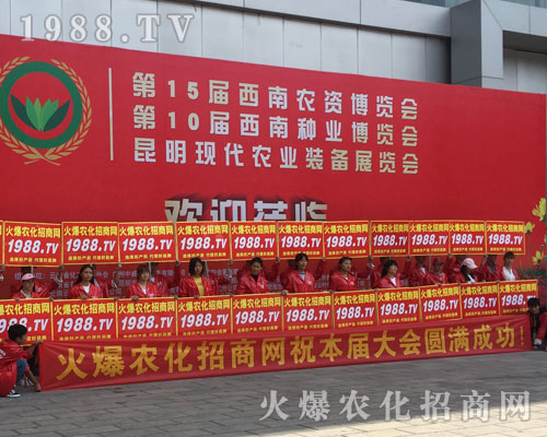 �o̎�����r(n��ng)���W(w��ng)���M�۱M�ǻ𱬼t��