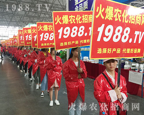 2018���������r�Y�����r��܊�F�y�ֲ��M