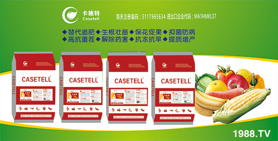 ����ɫ�п�ʩ�ء�ף��ҡ��¡����o�ȣ�����������¡���s��