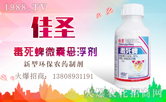 ���|���r�I(y��)��ף������µ�һ���﹤�����������������