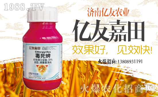 ���|���r�I(y��)��ף������µ�һ���﹤�����������������