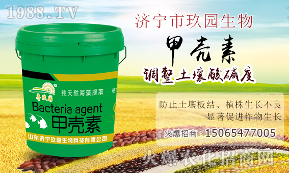 �����@�����ף����´��옷���Ҹ�������