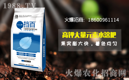 ���̩����ףȫ�������f�´����ϼҚg����