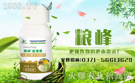 �����ƻ�����ףȫ��(gu��)�����µ�һ����ؔ(c��i)Դ�L�L��(l��i)��