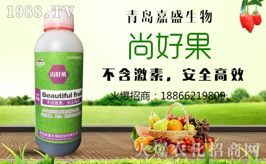     ����ʢ���ף������µ�һ�������d¡��ؔԴ�V�M��