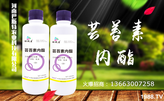 �����ϰ�˹�ء�ף���2018��������\(y��n)�������ո�������