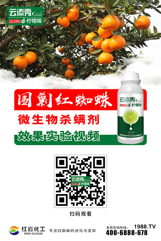 【紅云化工】祝您百福臨門常有余,祥云瑞氣聚新春!