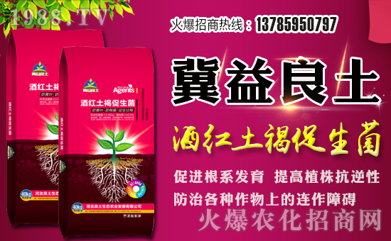 迎春思試劍,三擂戰(zhàn)鼓氣吞虹。舊年離去的時候,同時離去的也是所有的不快;當迎來新春的時候,同時也迎來了新的希望。