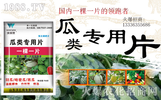 【山東沃億佳】祝大家2019幸福一整年,好運(yùn)伴你走19,幸福伴你齊飛!