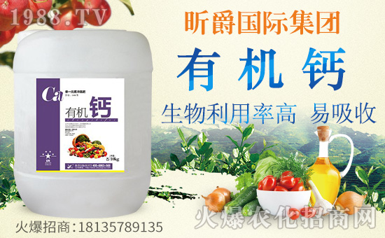 ��꿾���H��ףȫ���������w�������f��������