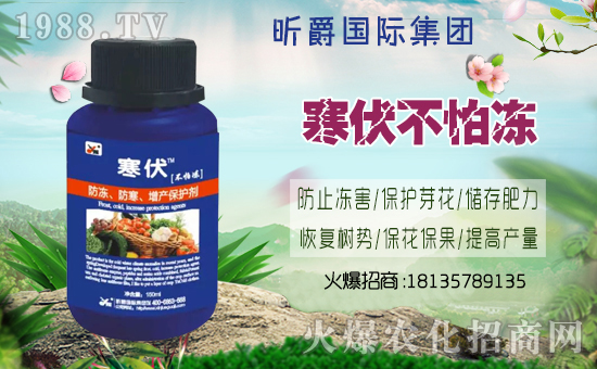 ��꿾���H��ףȫ���������w�������f��������