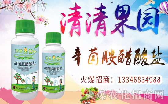 ����������ף������µ�һ�����Ҹ����M���H�Қg����