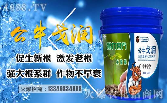 ����������ף������µ�һ�����Ҹ����M���H�Қg����