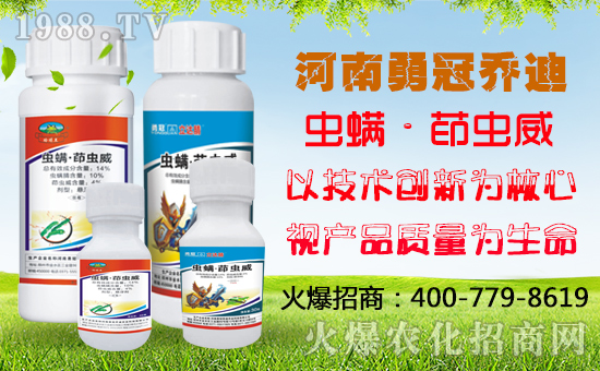 【勇冠喬迪】祝您新年快樂,財運亨通!