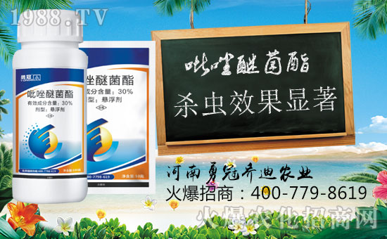 【勇冠喬迪】祝您新年快樂,財運亨通!