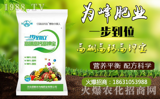 【為峰肥業(yè)】祝全國(guó)朋友在新的一年里幸福美滿,闔家歡樂(lè)!