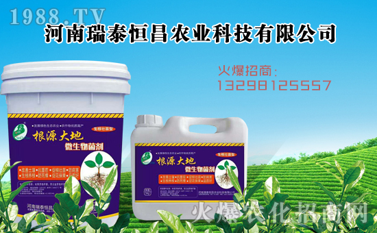     ����̩�����ȫ�w�T����ףȫ����(j��ng)�N�����w�������i�꼪����