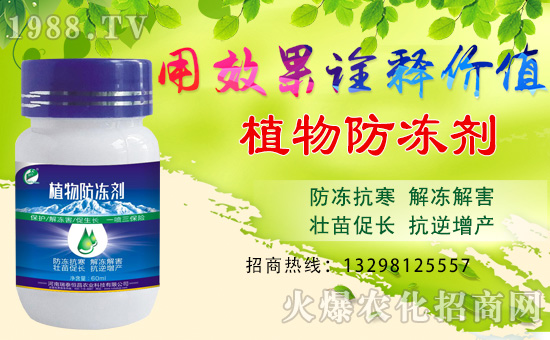     ����̩�����ȫ�w�T����ףȫ����(j��ng)�N�����w�������i�꼪����