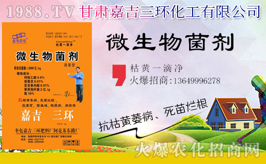 【嘉吉三環(huán)】祝大家在新的一年里工作順利,步步高升!