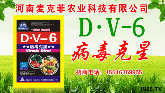 �����˷��r(n��ng)�I(y��)��ףȫ����(j��ng)�N�����w�������f��������