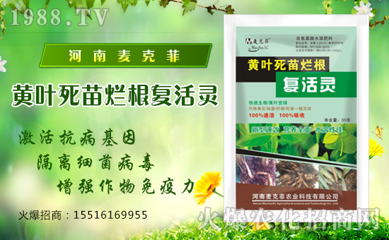 �����˷��r(n��ng)�I(y��)��ףȫ����(j��ng)�N�����w�������f�����⣡