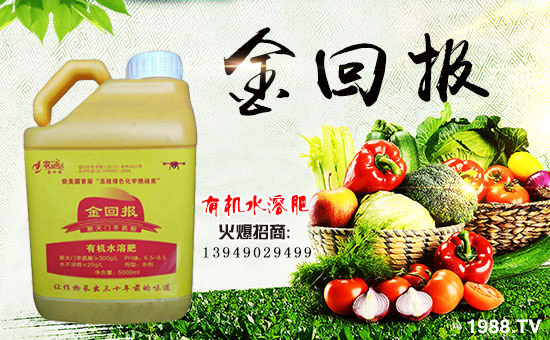     ����؈�(b��o)�r(n��ng)�I(y��)��ף������µ�һ�������w�����������³����f�����⣡