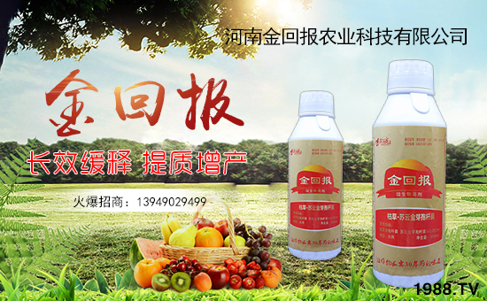     ����؈�(b��o)�r(n��ng)�I(y��)��ף������µ�һ�������w�����������³����f�����⣡