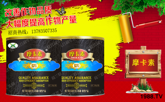 【強芯國際】祝大家在新的一年里身體健康,工作順利!