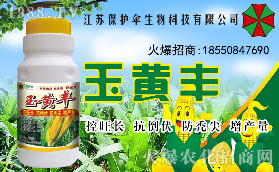 �����o�����ףȫ���������µ�һ���﹤�����������������