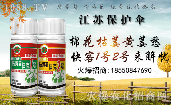 �����o�����ףȫ���������µ�һ���﹤�����������������