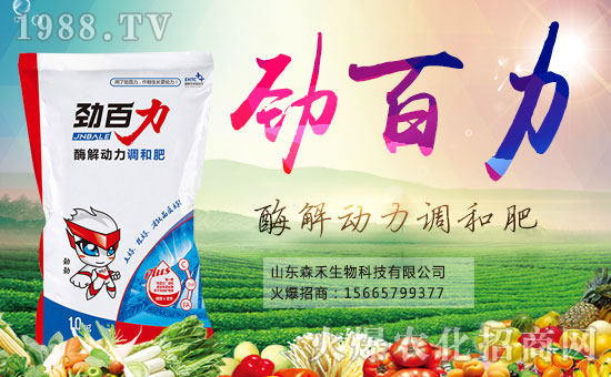 ��ɭ�����ףȫ��(gu��)�������µ�һ���﹤�����������������