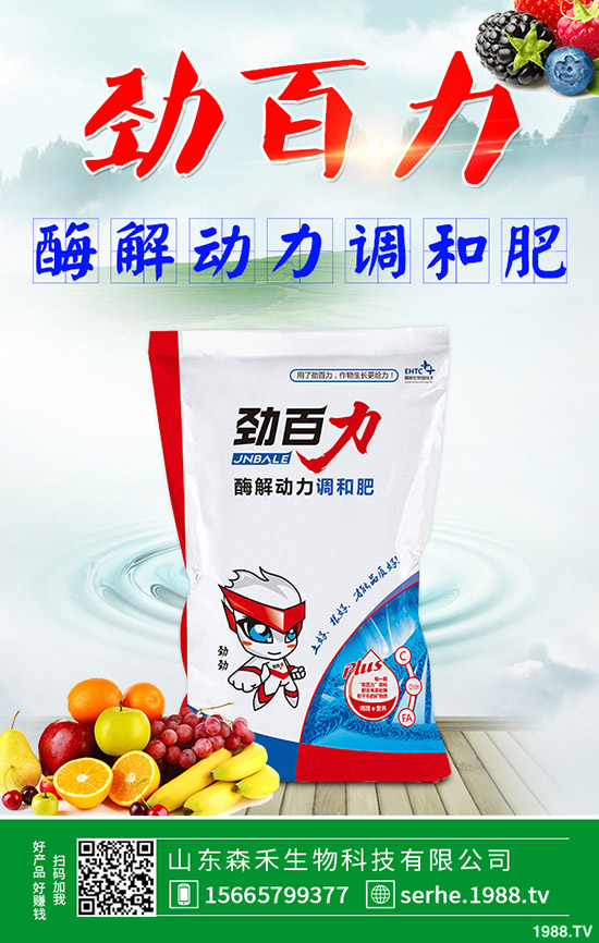 ��ɭ�����ףȫ��(gu��)�������µ�һ���﹤�����������������