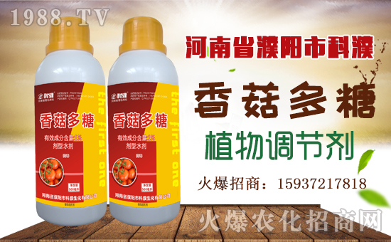 【科濮生化】祝大家在新的一年里工作順利,步步高升!