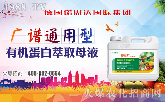 �����Z˼�_(d��)����ף����´��옷���Ҹ�������