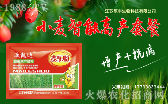 ���T�S���ף������µ�һ����ؔ�\�L�L�������d����