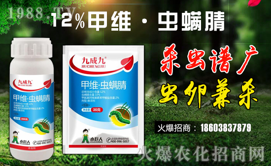 ��С�����r(n��ng)�I(y��)��ף������µ�һ�������w�����������³����f��������