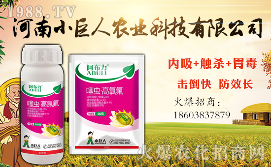 ��С�����r(n��ng)�I(y��)��ף������µ�һ�������w�����������³����f�����⣡