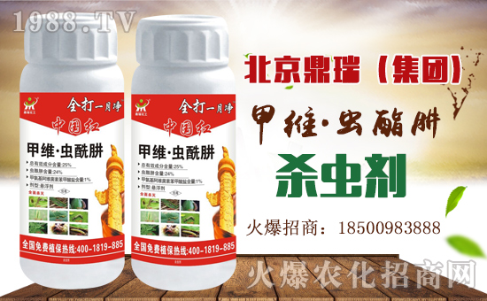     ����������ף������µ�һ�����Ҹ����M���H�Қg����