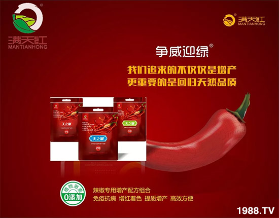 �����ϝM��t��ף������µ�һ���﹤�����������������