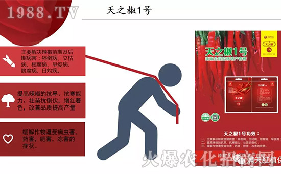 �����ϝM��t��ף������µ�һ���﹤�����������������