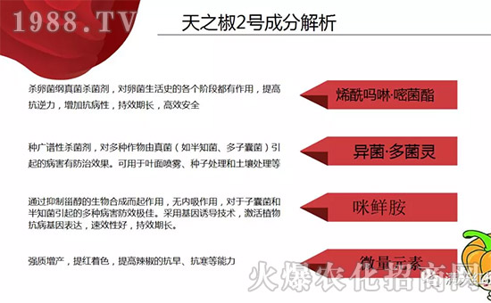 �����ϝM��t��ף������µ�һ���﹤�����������������