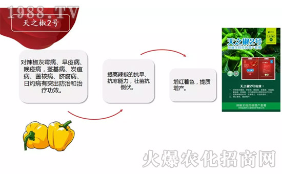 �����ϝM��t��ף������µ�һ���﹤�����������������